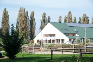 HAJDRAK TIMEA
