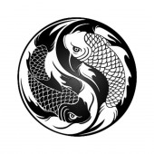 yin_yang_koi_fish